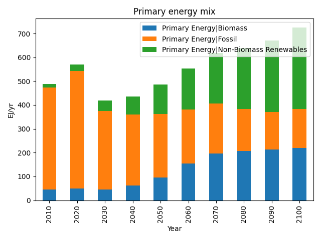 Primary energy mix
